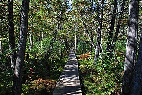 North Country National Scenic Trail.jpg