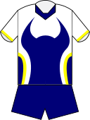 File:North Queensland Cowboys away jersey 2002.svg