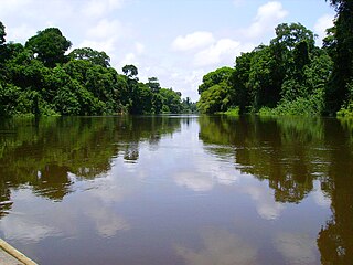 Nyong River River in Cameroon