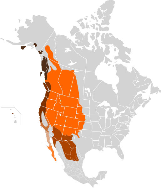 File:Odocoileus hemionus map.svg