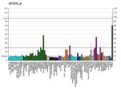 PBB GE PODXL 201578 در fs.png