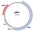 Минијатура на верзијата од 00:48, 17 ноември 2017