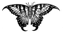 Papilio machaon Topsell 1658.jpg