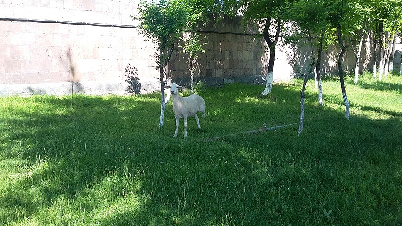 File:Park Yeraz, Yerevan 07.jpg