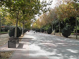 Paseo Central del Parque de Gasset