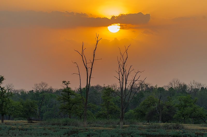 File:Pench Sunset.jpg