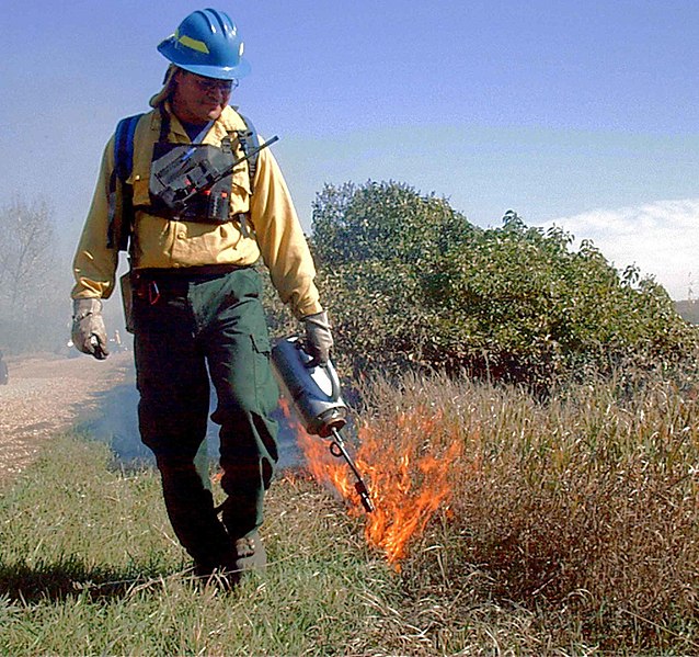 File:Personnel using controlled fire.jpg