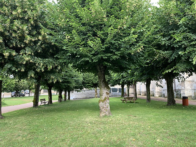 File:Petite place en harbe près de l'église d'Irancy (juin 2020).jpg