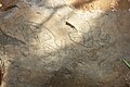 Petroglyph la palma la fajana 105.jpg
