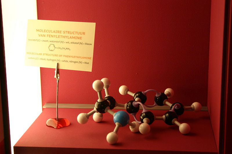 File:Phenylethylamine display.jpg