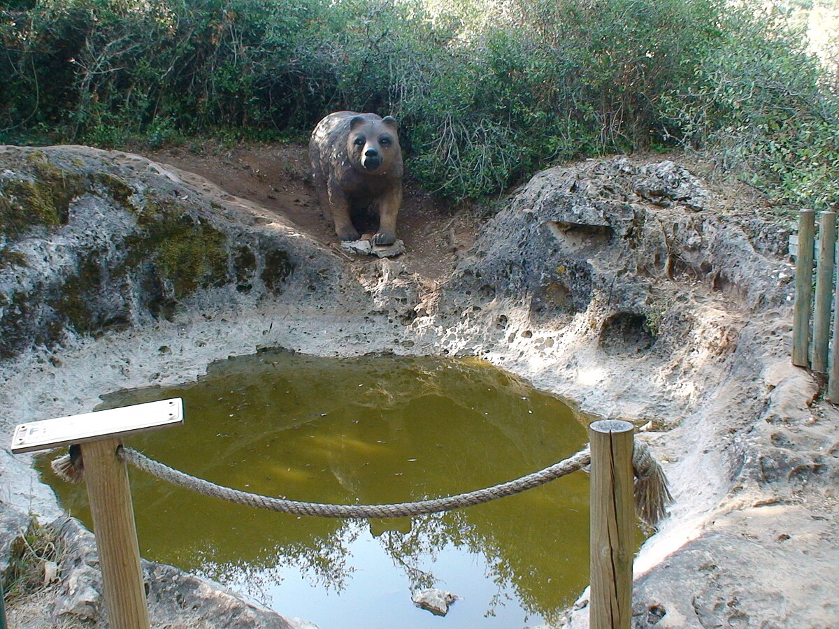 Resultado de imagem para pia do urso