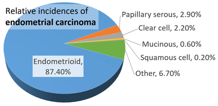 Relative incidences of endometrial carcinomas by histopathology[41]