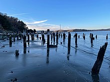 Numerous damaged wooden pilings stick out of the sand along the shoreline of the Carquinez Strait