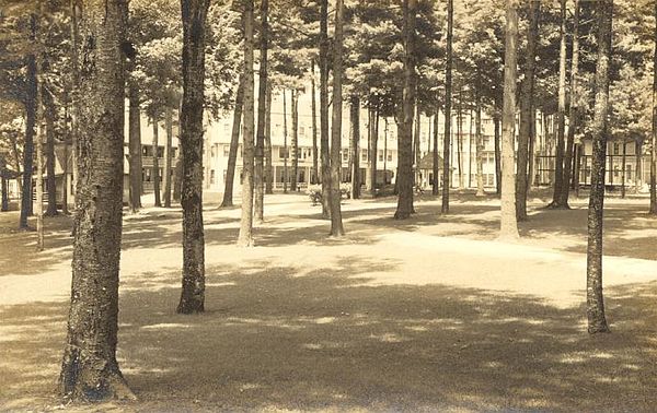 Pine Grove Springs Hotel, Spofford Lake in 1913