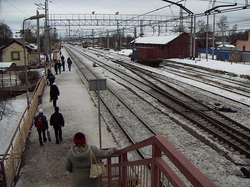 File:Podsolnechnaya station, pedestrian overpass - panoramio.jpg