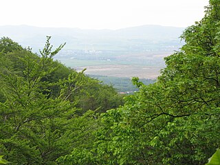 Blick vom Burgberg