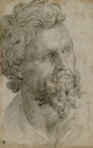 Benvenuto Cellini, Parrakas mies. Paperi, grafiitti (1540-1543) (?) Royal Library, Torino.