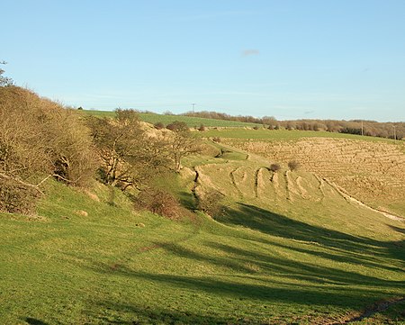 Postling Downs 1