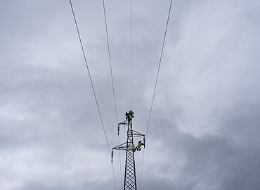 Power pylon maintenance crew, seen from atop the city walls, Ston, Croatia