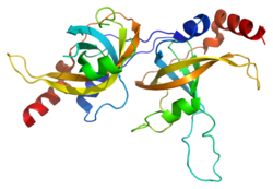 Протеин ACD PDB 2i46.png