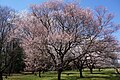 2022年3月28日 (月) 11:03時点における版のサムネイル