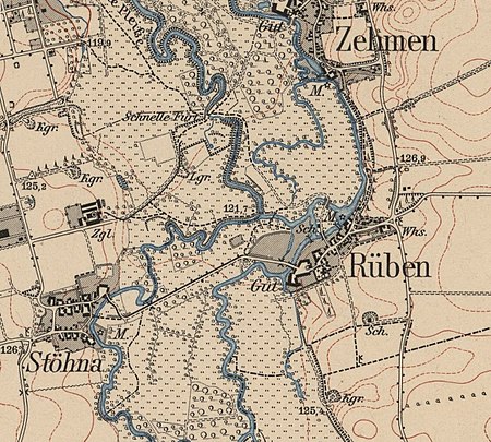 Rüben 1907