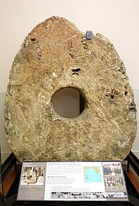 Rai (status stone), Yap, quarried 1904 on Palau - National Museum of Natural History, United States - DSC00363.jpg