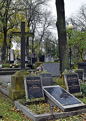 Rakowicki Cemetery, grave of Tadeusz Lehr-Spławiński (Polish linguist and professor of Jagiellonian University), 26 Rakowicka street, Kraków, Poland.jpg