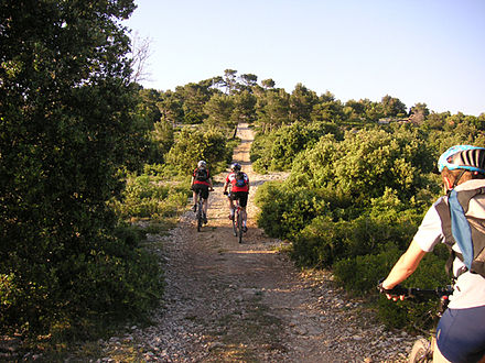 Mountain bike trail riding (trail biking)
