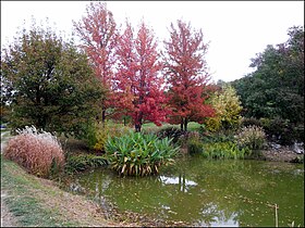 Image illustrative de l’article Jardin du Bois Marquis