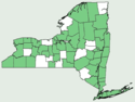 Ranunculus abortivus NY-dist-map.png