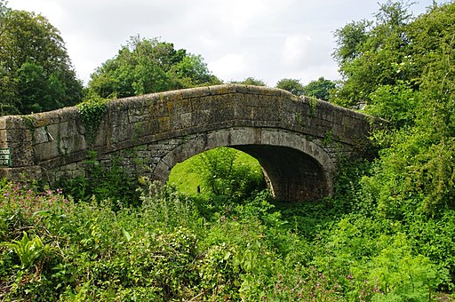 Remains of Somerset Coal Canal - panoramio (1)
