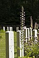 Rifle House Cemetery