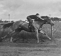 Eva Ring is breezing a racehorse.[46]