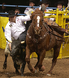 Western style breastcollar being used on a bulldogging horse. Rodeo3b2004-12-21.jpg