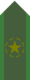 SWE-Army-OR5b.png