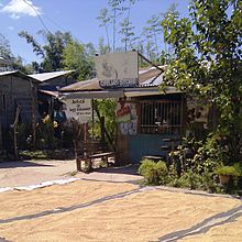 Rice grains being dried on a road in San Esteban. San Esteban Ilocos Sur.jpg