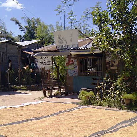 Rice grains being dried on a road in San Esteban.