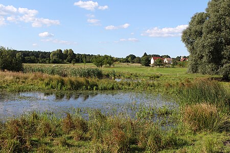 Ladeburger Schäferpfühle Nature reserves in Brandenburg, Germany