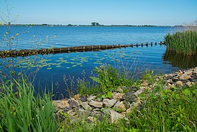 Illustrasjonsbilde av Schildmeer-artikkelen