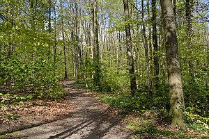 Schleswig-Holstein, Itzehoe, Landschaftsschutzgebiet Lehmwohld NIK 9901.JPG