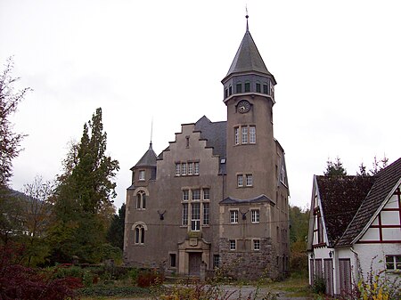 Schloss Wildenberg 2009