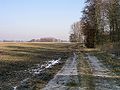 Landschaft bei Seestermühe Foto: 2003