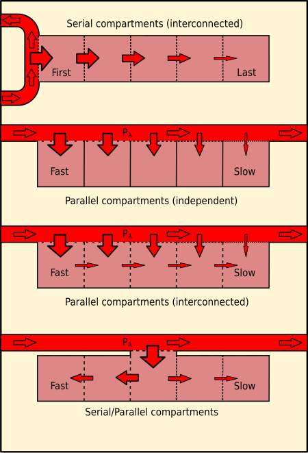 Diagram comparing serial (interconnected), parallel (independent), parallel (interconnected) and combined series-parallel tissue compartment models