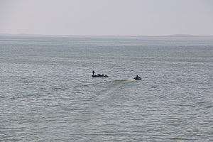 Ловля рыбы на Шардаринском водохранилище