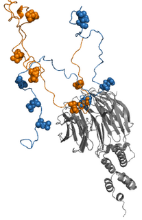 <span class="mw-page-title-main">Fuzzy complex</span>