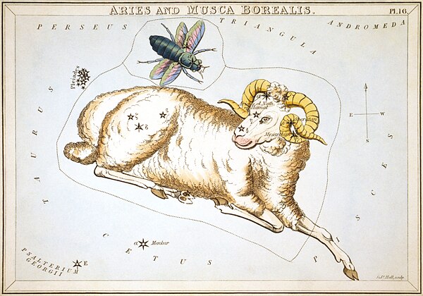 Aries and Musca Borealis as depicted in Urania's Mirror, a set of constellation cards published in London c. 1825