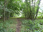 Sinks Valley, Kesgrave