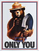 Drawing of a grizzly bear with human features. He is wearing blue jeans with a belt and a brimmed hat with the name "Smokey" on the cap, and has a shovel in his left hand. He is pointing to the viewer while the text "Only You" is seen below him.