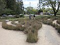 The Snoopy Labyrinth at the Charles M. Schulz Museum and Research Center in Santa Rosa California.